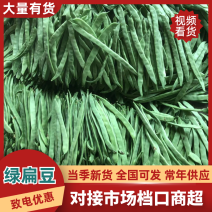 山西精品绿扁豆新鲜采摘供应商超档口量大从优欢迎来电洽谈