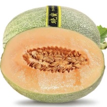 晓蜜25哈密瓜🍈产地直发量大从优可视频看货对接全国客商