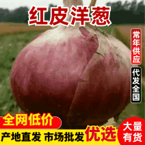 红皮洋葱8厘米以上超市直供口感好体型好，，质量好货量大