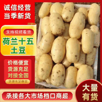 『荷兰十五土豆』新土豆&黄心土豆&山东荷兰土豆/全国发货