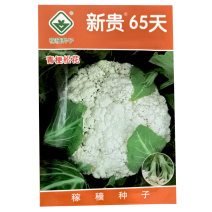新贵65天青梗松花菜种子中生花球洁白2000粒大田基地种