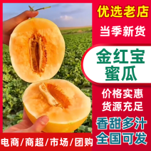 「金红宝蜜瓜」产地货源/全国供应/市场档口/口感脆甜多汁