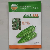 农运来大明苦瓜种子中熟耐热不早衰皮色白绿瓜条丰满刺溜圆正