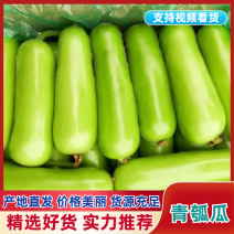 瓠子青瓠瓜产地一手货源，支持视频看货论价，保质保量。