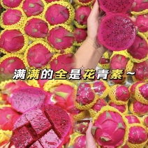 【热卖推荐】红心火龙果现采现摘省心省力可对接全国电商等