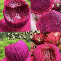 【实力推荐】精品红心火龙果品质保障一件可发可对接全国电商