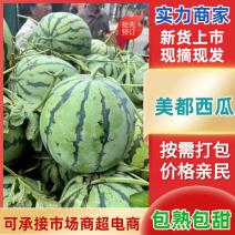 【推荐】美都西瓜西瓜一手货源货源充足保质保量