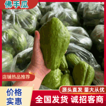 【热卖中】佛手瓜只做回头客对接电商批发一件代发全国发货