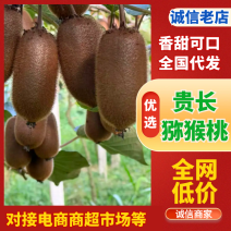 热卖贵长猕猴桃贵阳修文产地直发价格优惠品质保证规格齐全