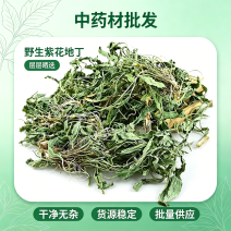 紫花地丁