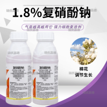 1.8%复硝酚钠棉花植物生长调节剂促生根提早开花壮苗复硝