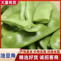 【热卖】吉林豆角东北大油豆角基地直发价格便宜欢迎来电