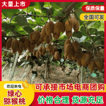 猕猴桃/绿心猕猴桃现摘现发品质优基地直供可视频看货欢迎