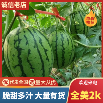 【推荐】砀山全美2K西瓜小吊瓜产地现货皮薄脆甜欢迎来电