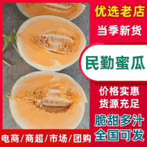 甘肃民勤蜜瓜，对接各大平台，一件代发，批发市场，产地直发