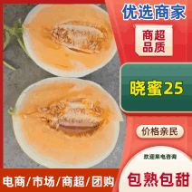 哈密瓜，晓蜜25号，甘肃民勤蜜瓜一件代发，大众批发市场