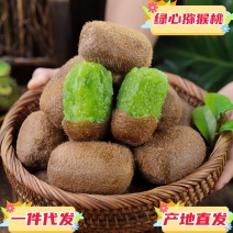 一件代发供应链陕西绿心猕猴桃奇异果供应电商各大平台直播等