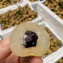广东储良龙眼产地直发对接电商市场商超可视频看货