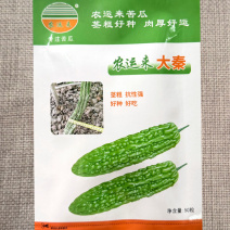 农运来大秦苦瓜种子茎粗中早熟瓜型丰满瓜色翠绿发亮产量高