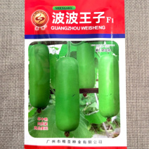 波波王子蒲瓜种子早中熟肉质紧皮色油绿头尾匀称高产瓠瓜种子