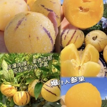 【一件代发】人参果电商发货拼多多～抖音～10000+