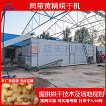 网带黄精烘干机中药材黄精片烘干设备黄精清洗切片烘干生产线