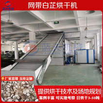网带白芷烘干机中药材白芷个白术片烘干机白芷切片烘干生产线