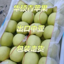 华硕苹果青苹果苹果采青酸甜可口产地直销全国发货等