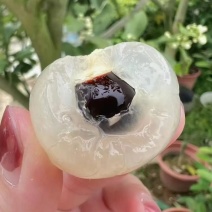 精品储良龙眼产地直发对接电商市场商超可视频看货