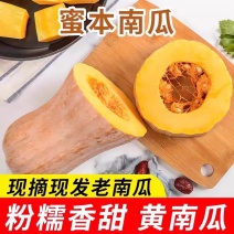 2025精品蜜本南瓜产地大量供应