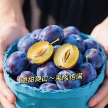 精品蓝西梅产地直发全国发货一手货源可视频看货