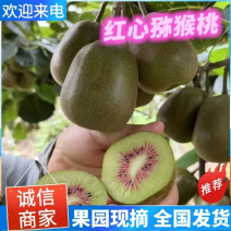 猕猴桃红心猕猴桃大量有货，产地直发，可视频看货