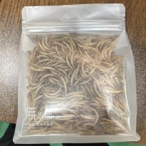 黄粉虫一件代发