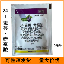 0.4%24-表芸赤霉酸葡萄调节生长农药植物生长调节剂1