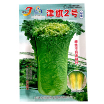 津旗2号白菜种子直筒矮桩青麻叶心黄结球紧实10g甜脆秋冬