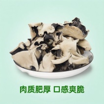 大木耳黑木耳火锅食材冒菜卤菜农家特产干木耳白背毛木耳麻辣