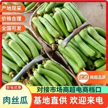 湖北荆州肉丝瓜产地批发/大量供应/量大从优/欢迎来电洽谈合作