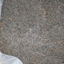 武夷岩茶大红袍/水仙/肉桂/百瑞香/老枞，高山茶，价格6