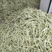 白豆通货、精品