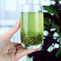 毛尖茶一级一芽一叶/二级一芽两叶，礼盒装散装都有