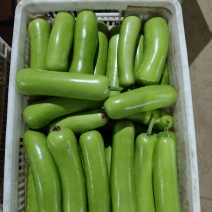 葫芦瓜