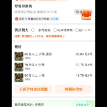 翠香猕猴桃5斤装/箱