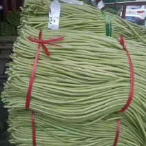 白豆角长30-50cm