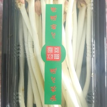 花生芽长度18-22厘米，脆嫩