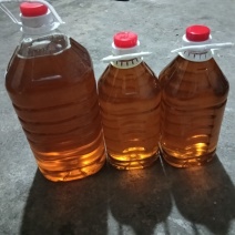 山茶油产地一手货源全国发货量大价优欢迎随时联系