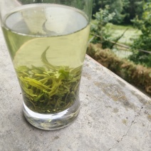 汉中绿茶半斤一袋