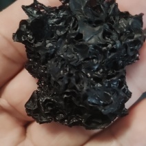 黑木耳干品