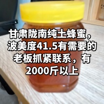 蜂蜜百花土蜂蜜