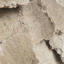 豆饼片状豆饼