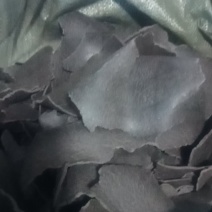 饼肥葵花饼成品